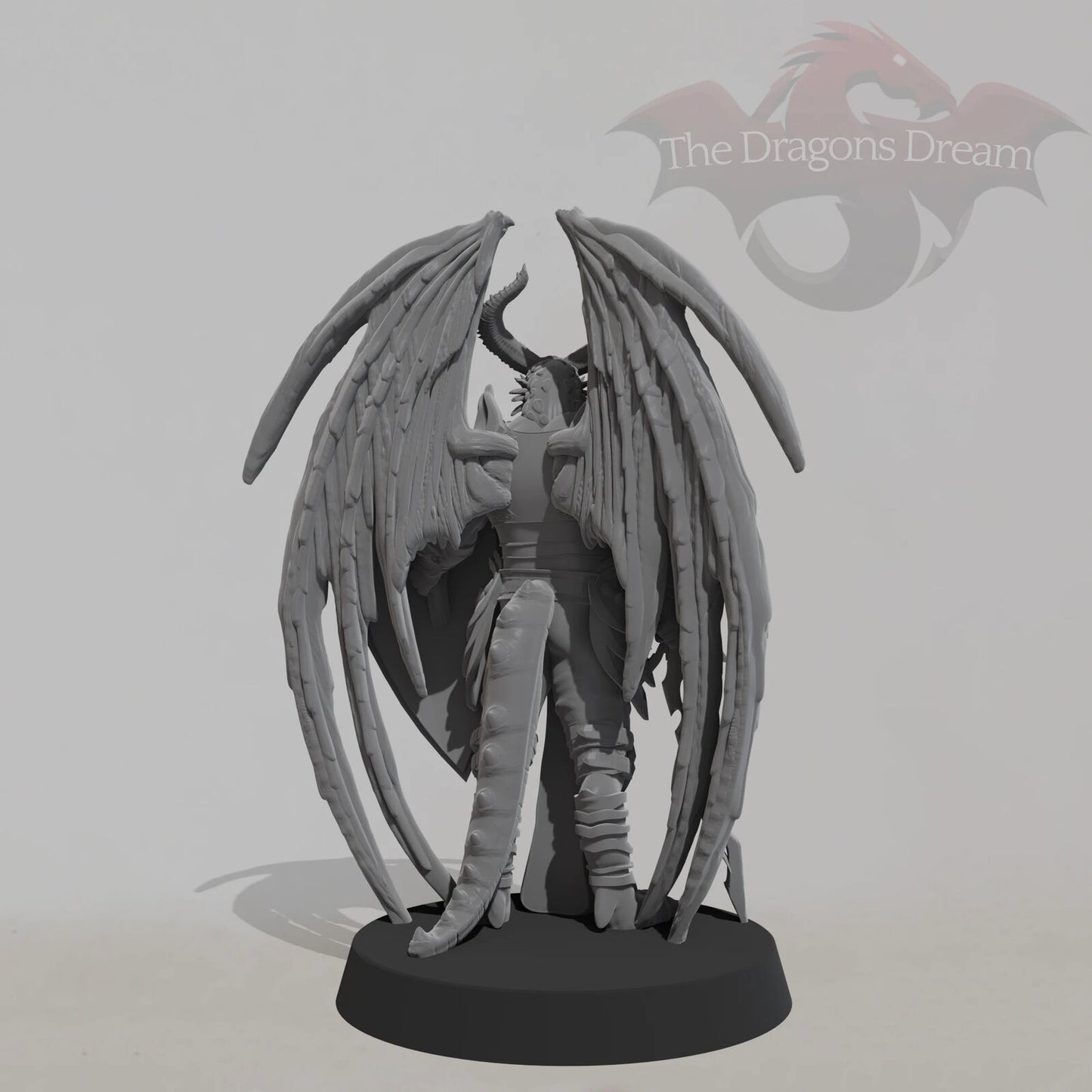 Winged Dragonborn Paladin