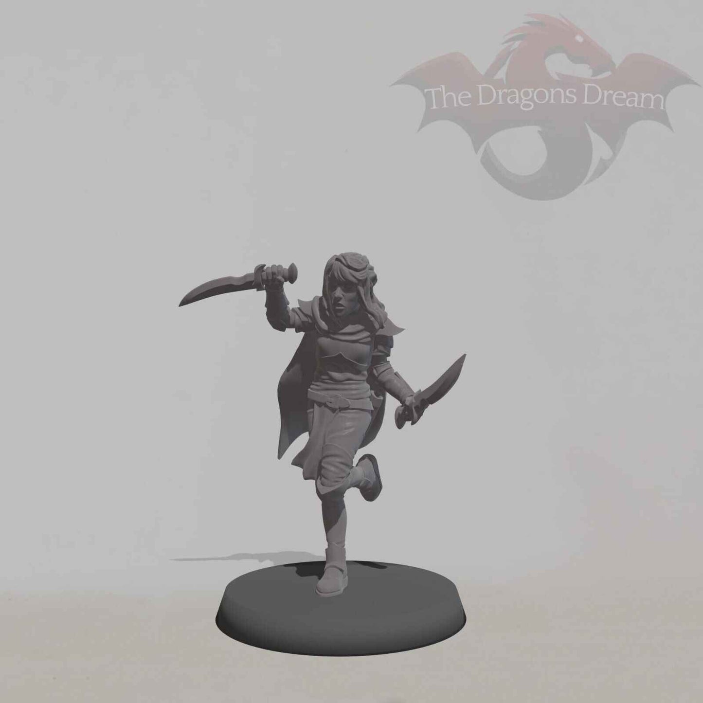 Elf Assassin