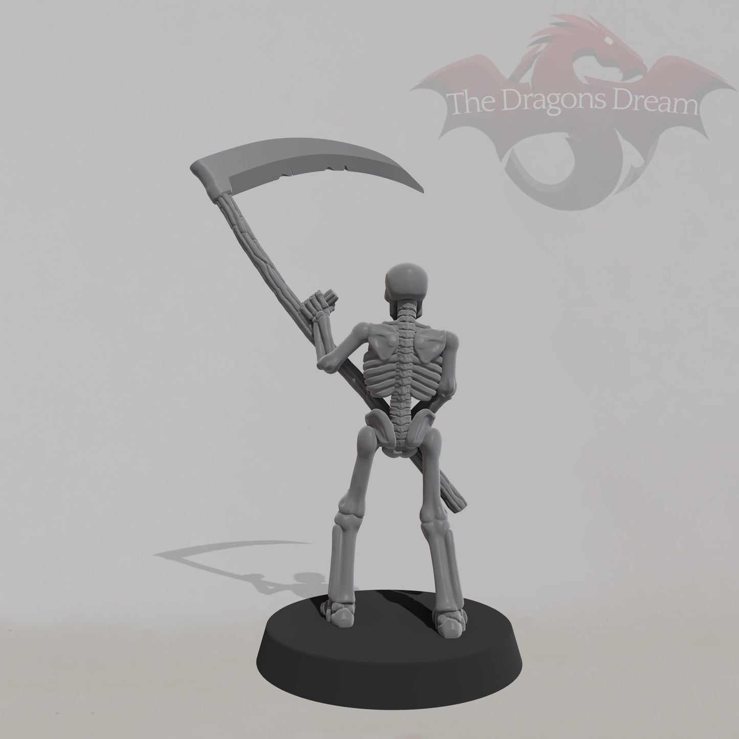 Skeleton Warrior