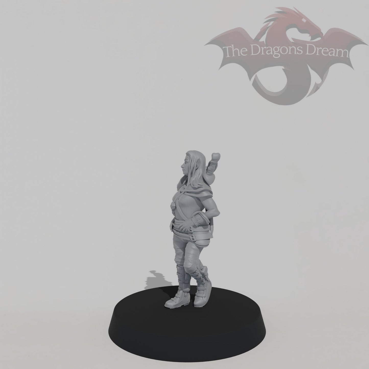 Female Halfling Rogue