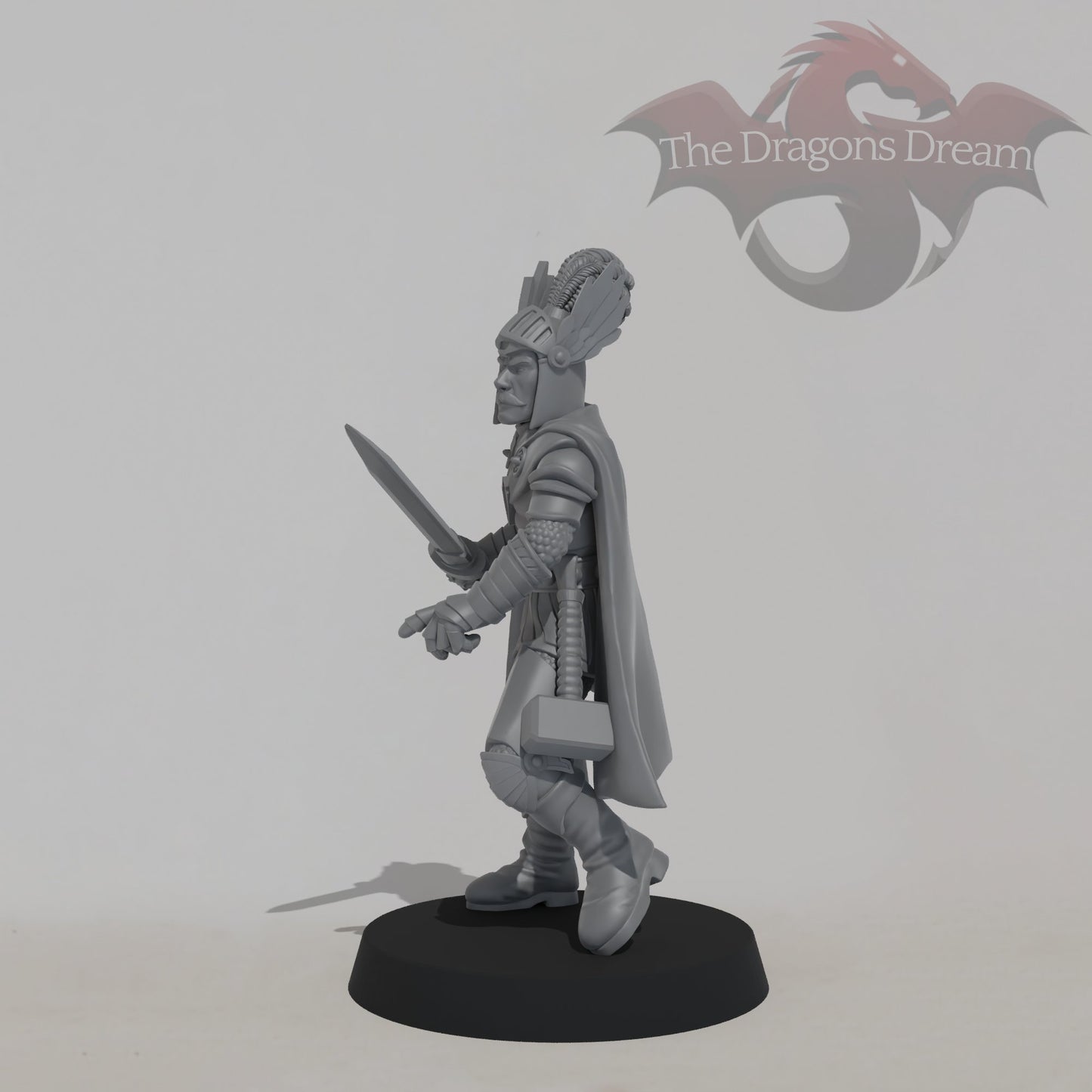 Strongheart - Paladin