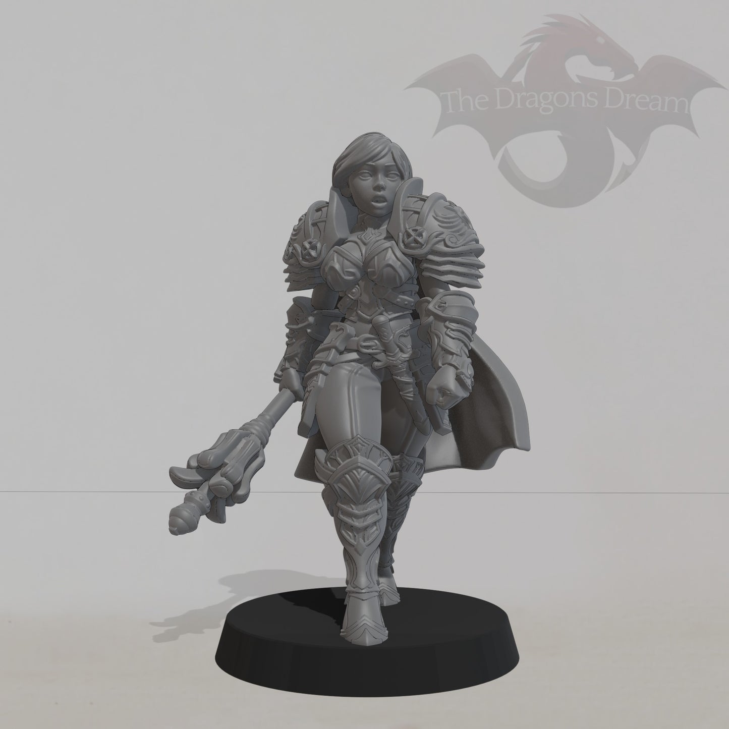 Caliope Human Paladin