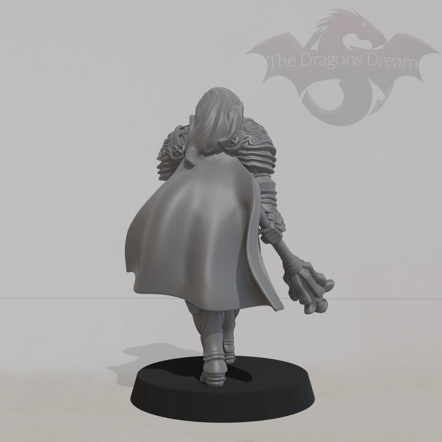 Caliope Human Paladin