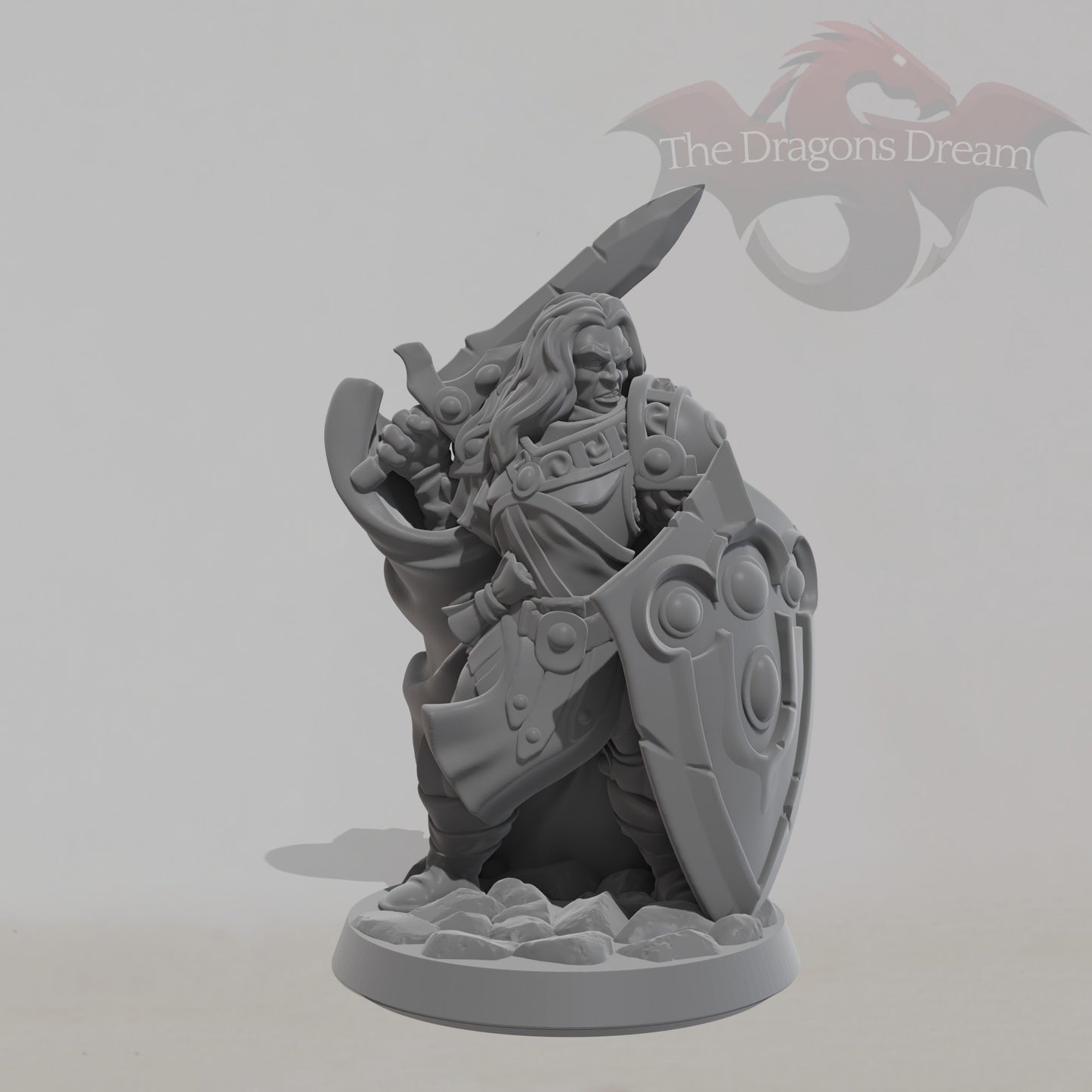 Male Paladin