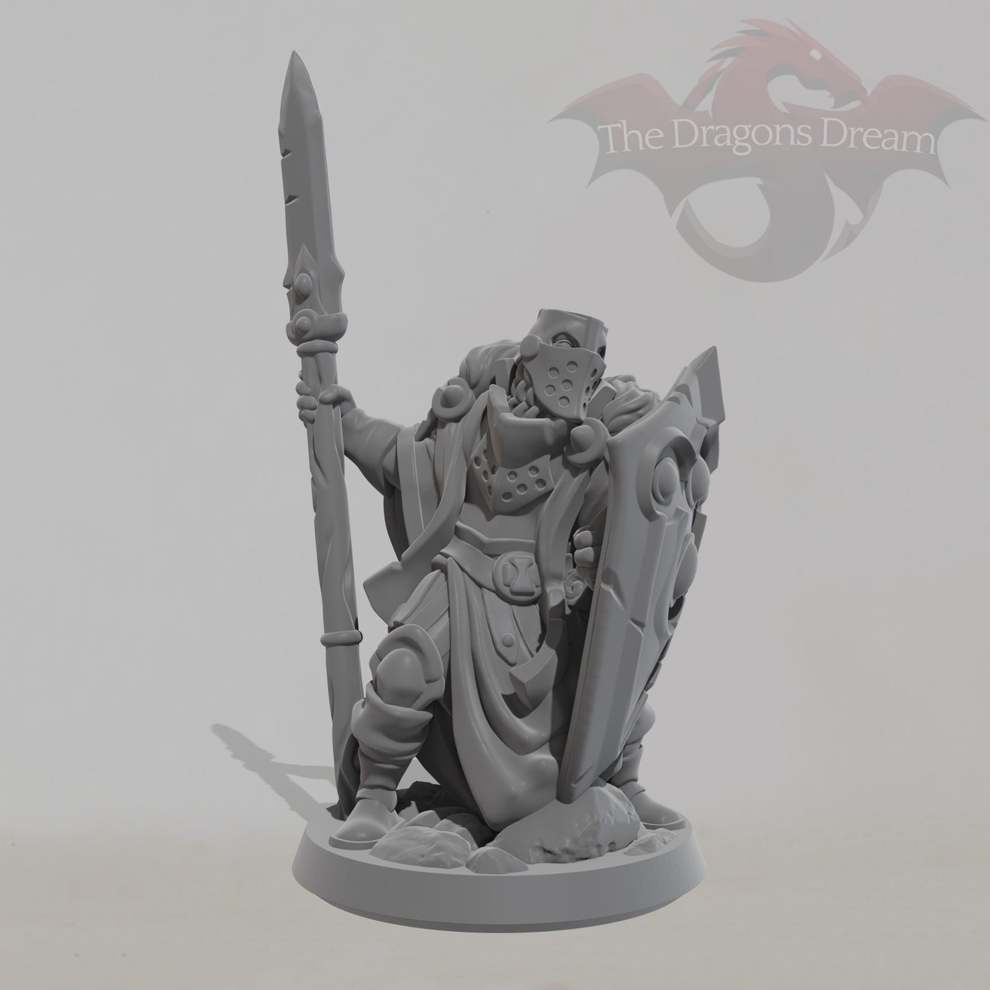 Male Paladin