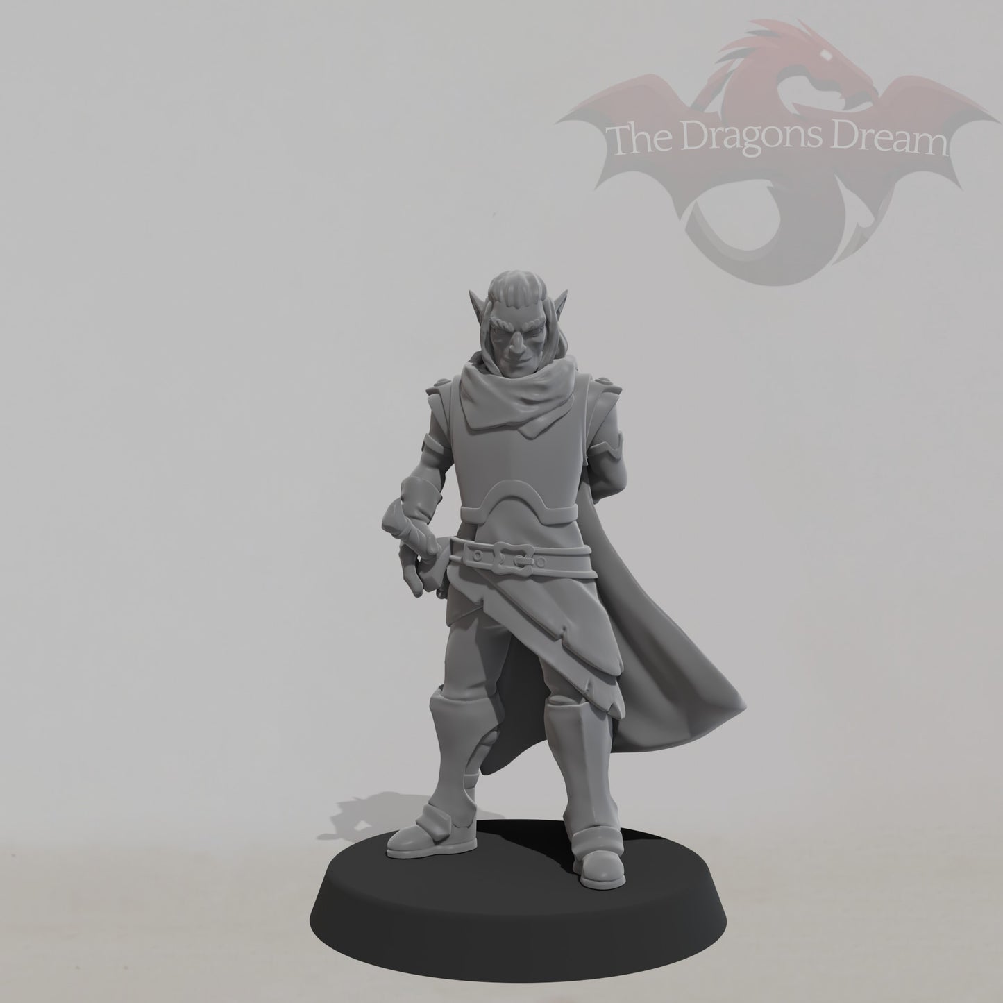 Male Elf - Heroquest