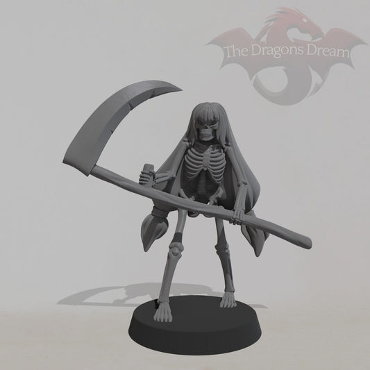 Female Skeleton - 2 - DnD, Pathfinder, Tales of the Valiant - Miniature