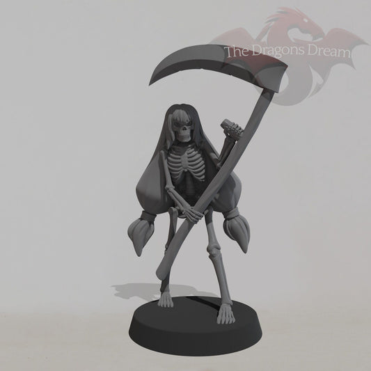 Female Skeleton - 2 - DnD, Pathfinder, Tales of the Valiant - Miniature