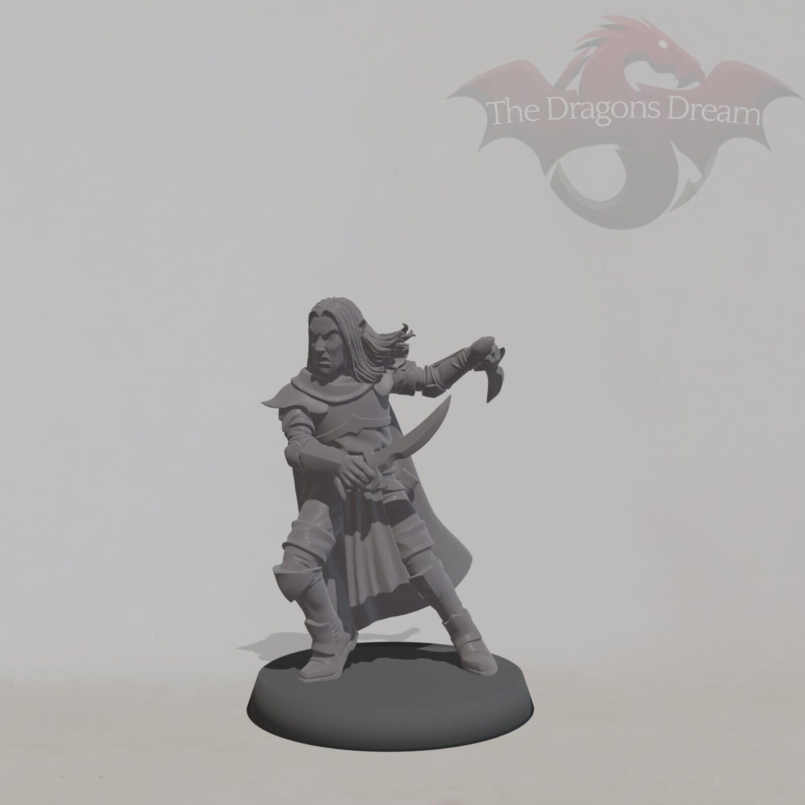Elf Assassin