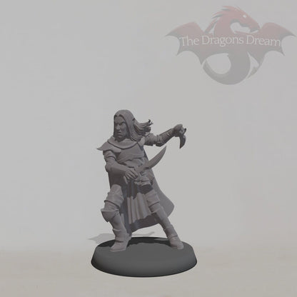 Elf Assassin
