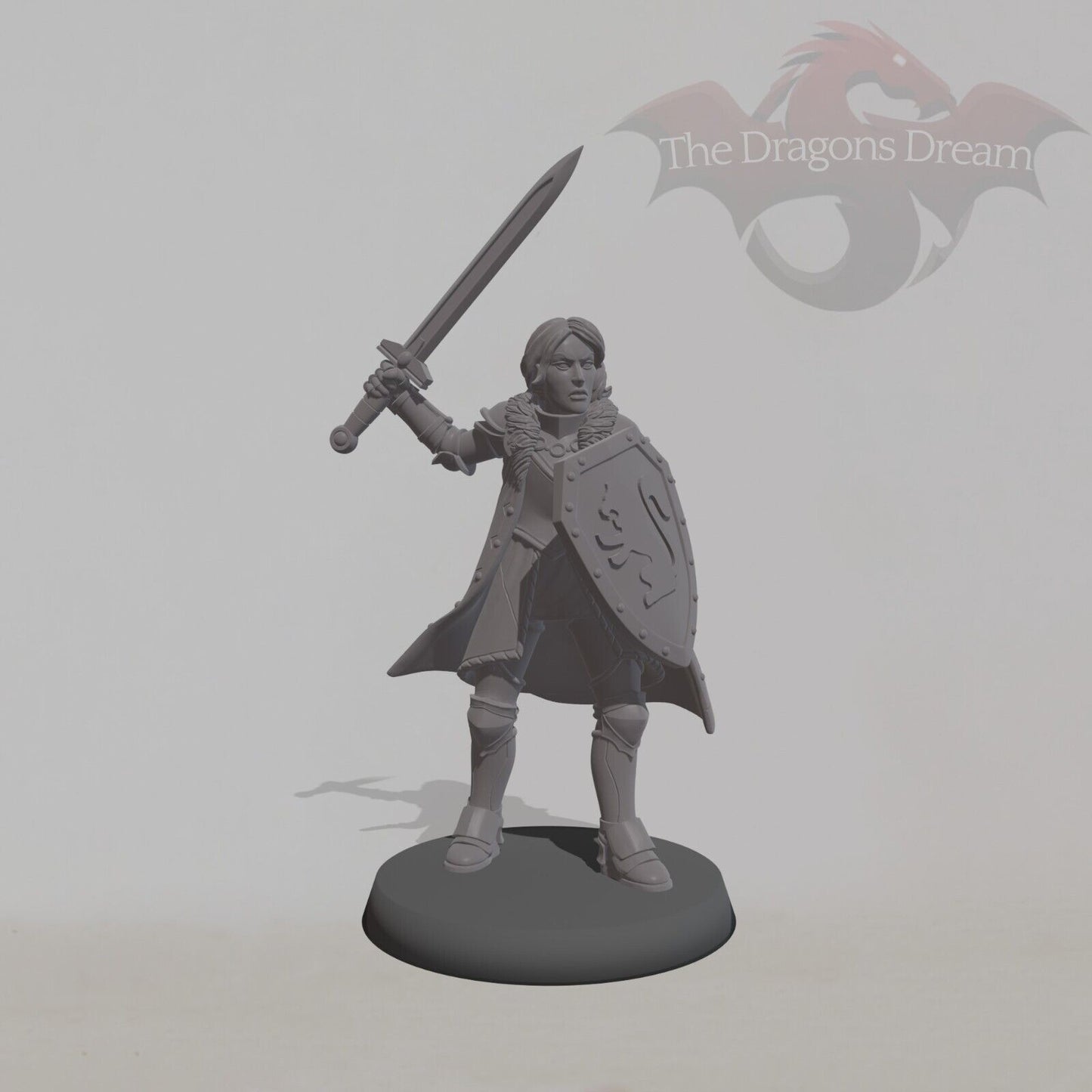 Female Knight 