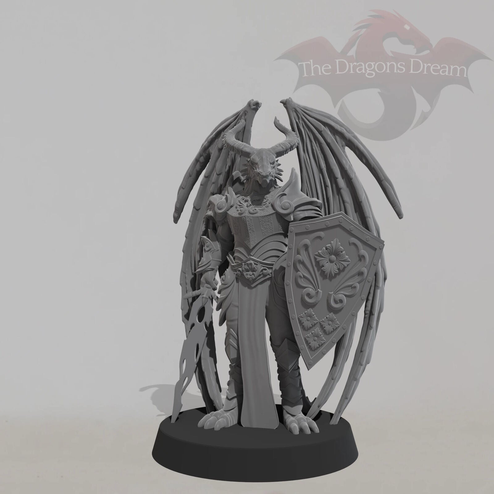 Winged Dragonborn Paladin