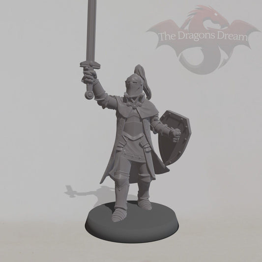 Male Knight 