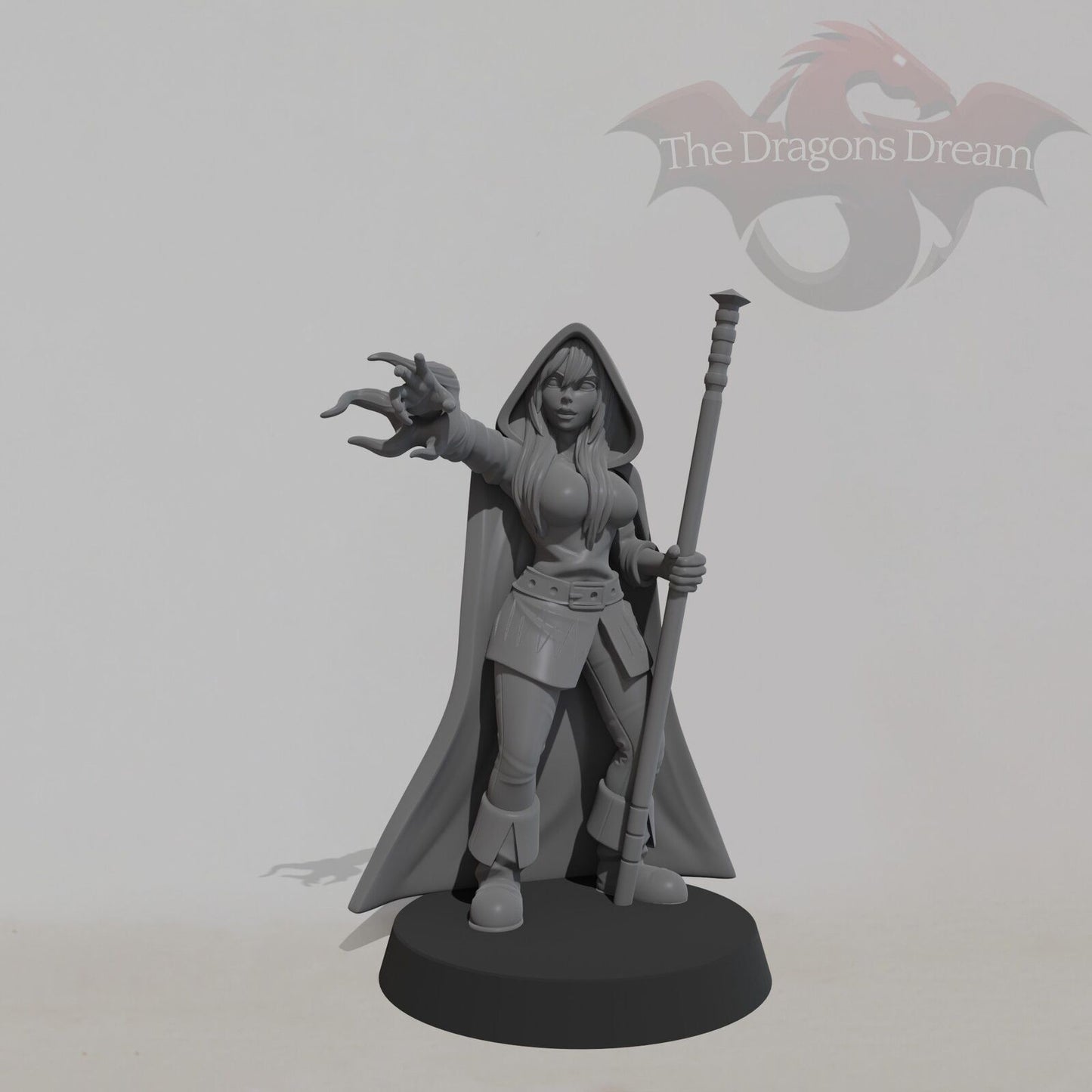 Female Mage - Heroquest - DnD, Pathfinder, Tales of the Valiant - Miniature