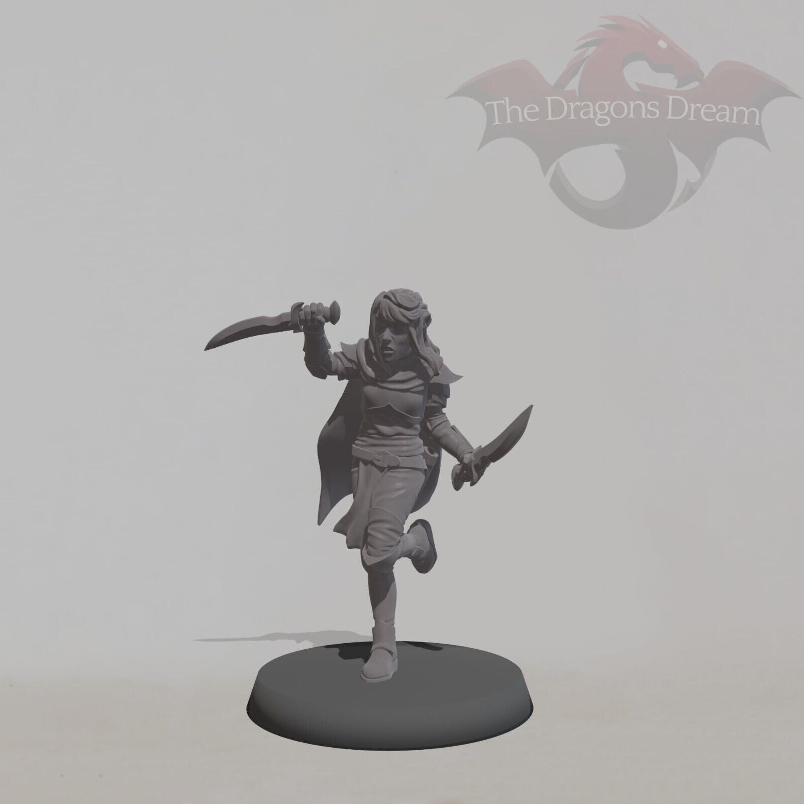 Elf Assassin