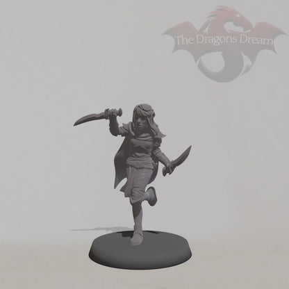 Elf Assassin