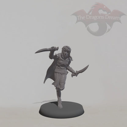Elf Assassin