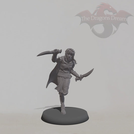 Elf Assassin
