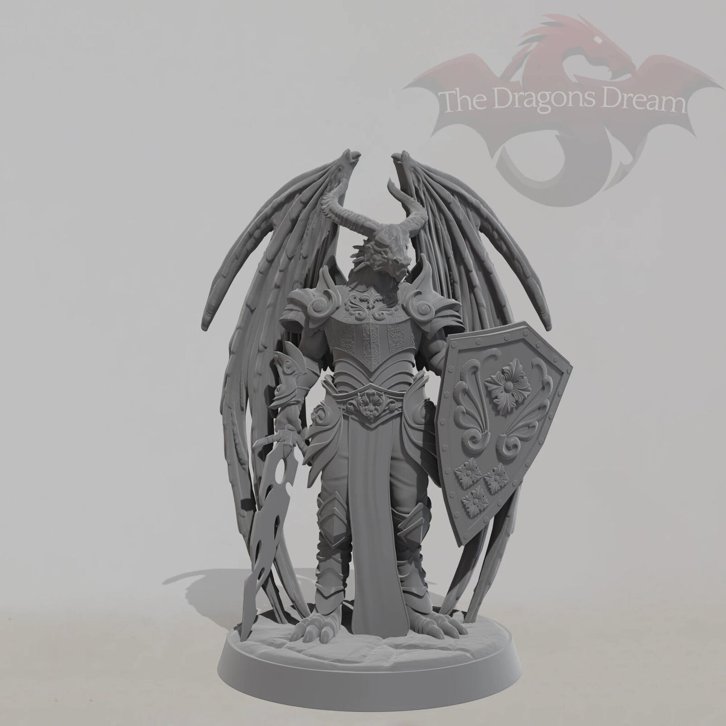 Winged Dragonborn Paladin