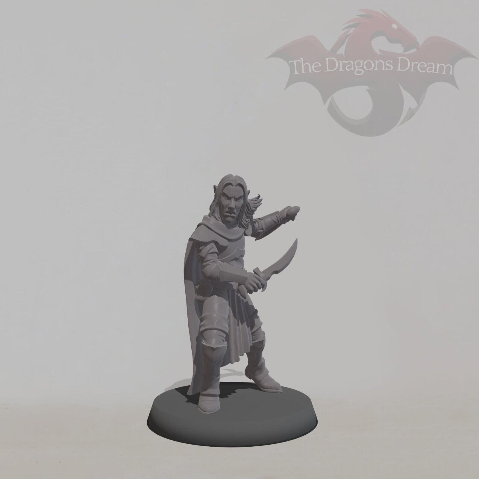Elf Assassin