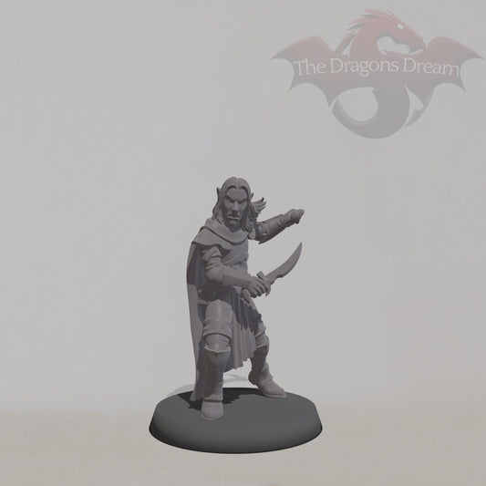 Elf Assassin