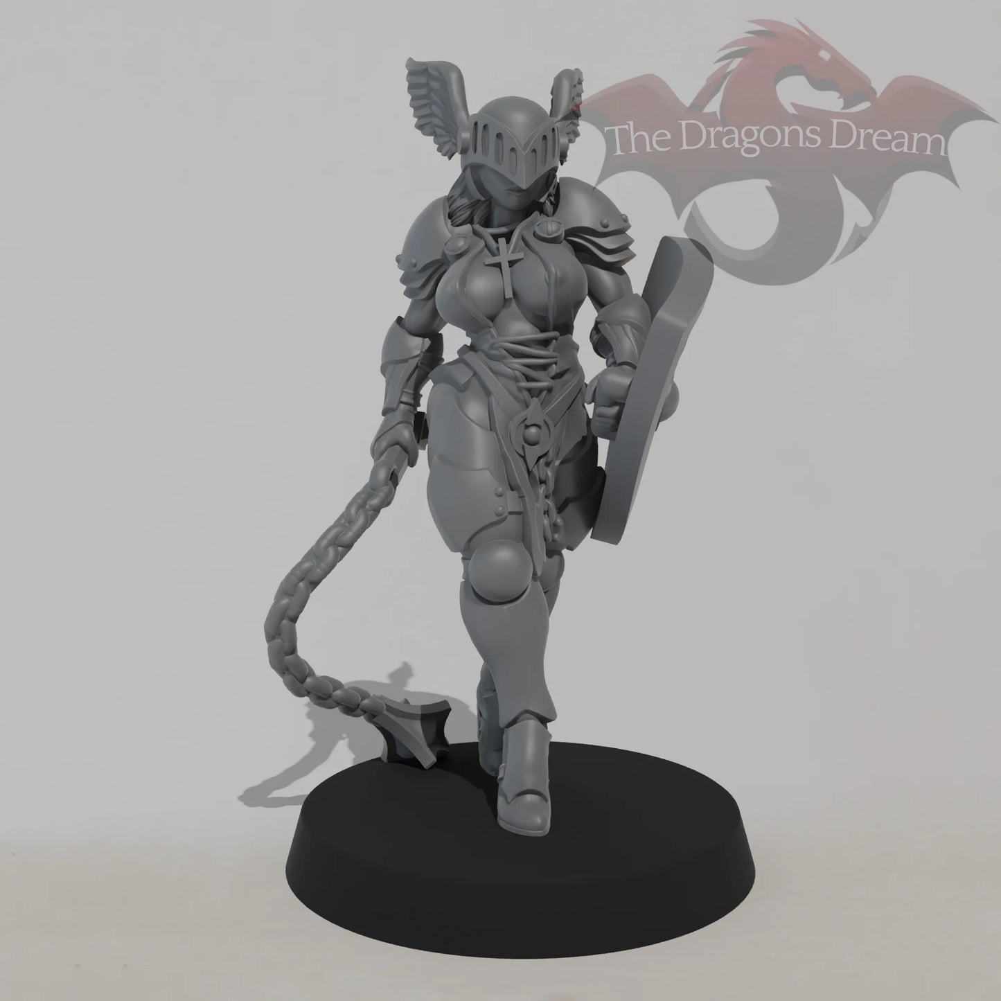 Paladin Nun - Flail and Shield