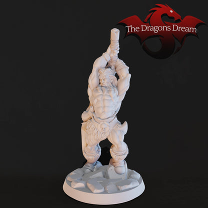 Male Barbarian