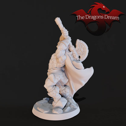 Male Barbarian