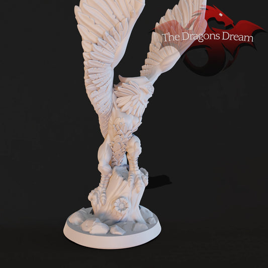Harpy