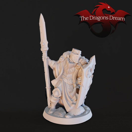 Male Paladin