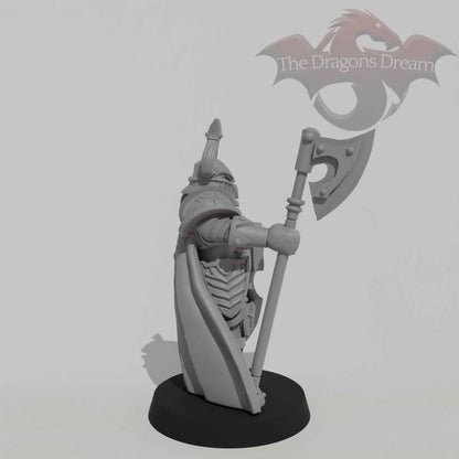 Chaos Warrior with halberd