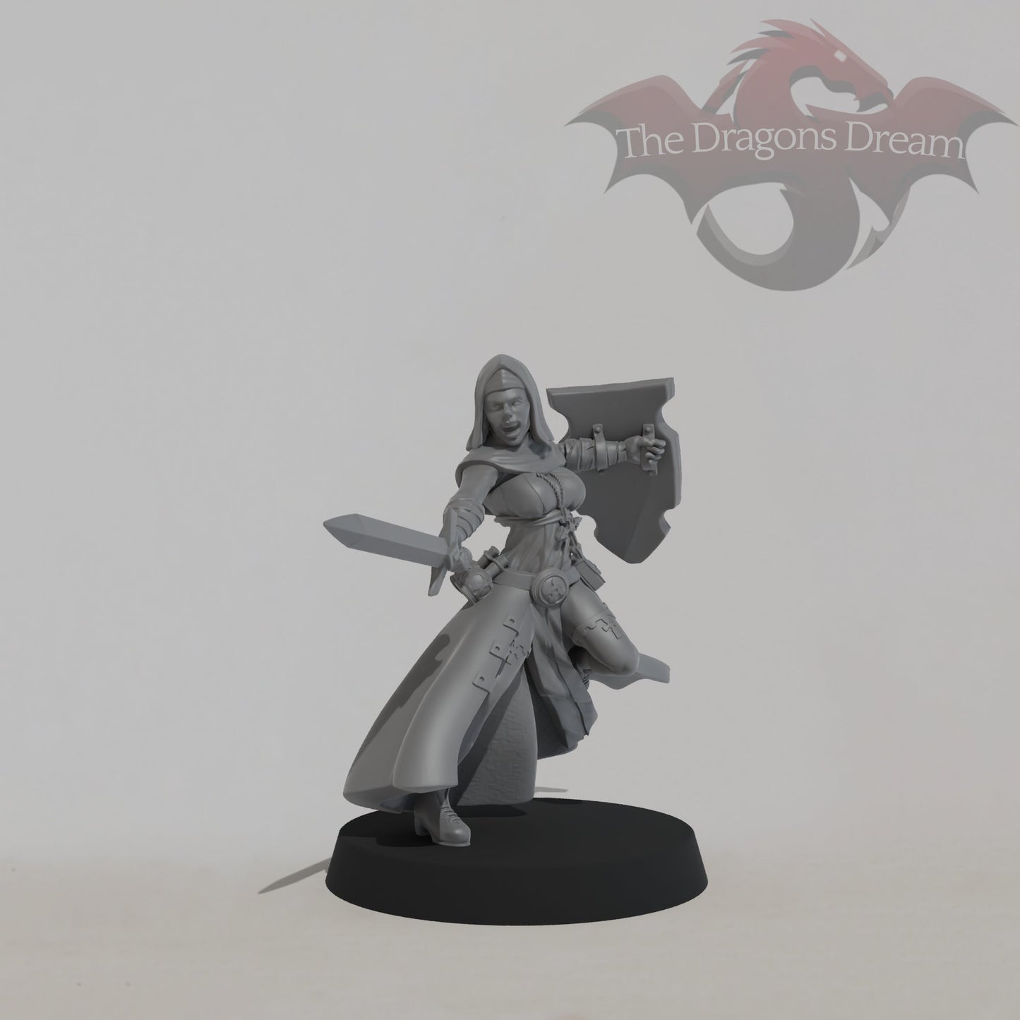 Warrior Nun - Novice