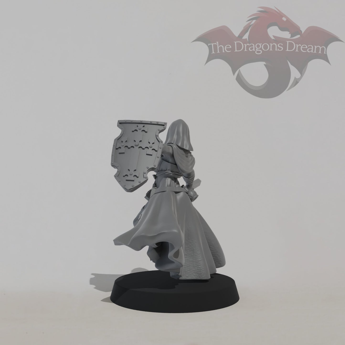 Warrior Nun - Novice