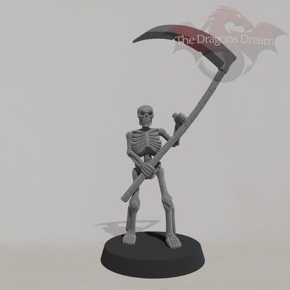 Skeleton Warrior