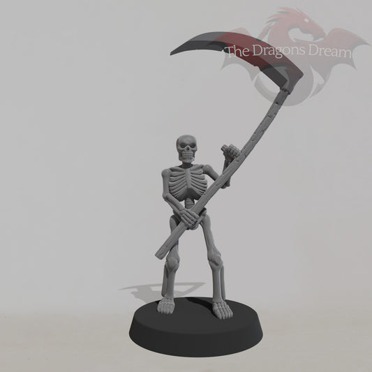 Skeleton Warrior