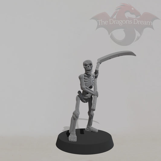 Skeleton Warrior
