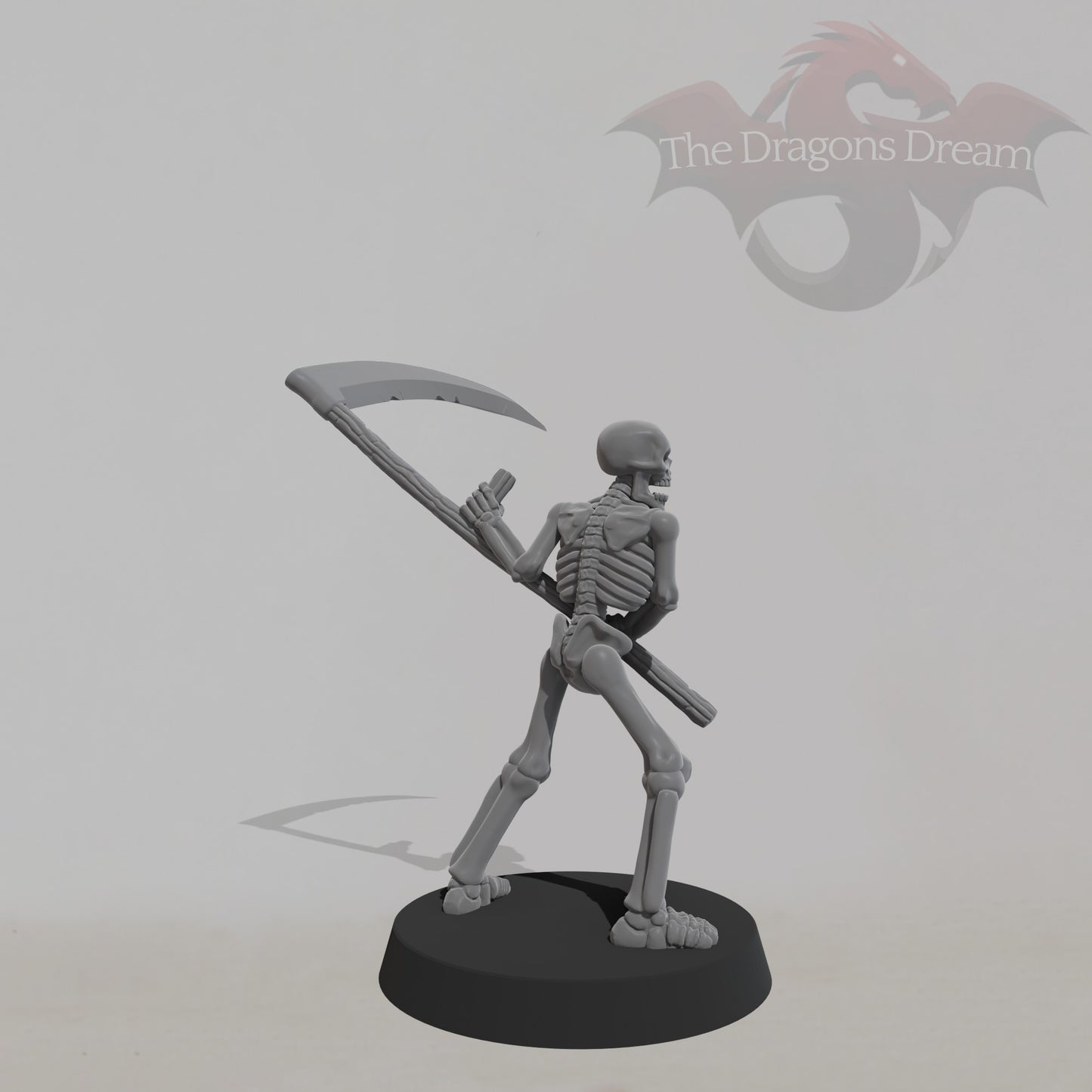 Skeleton Warrior