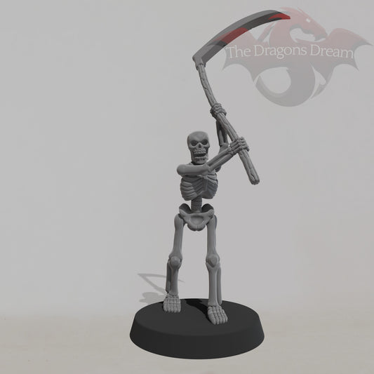 Skeleton Warrior