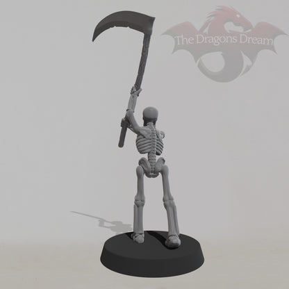 Skeleton Warrior