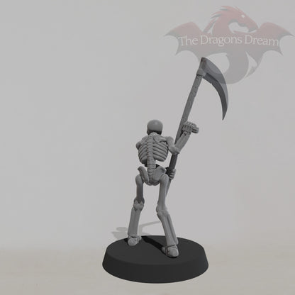Skeleton Warrior