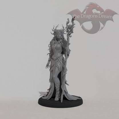 Aeryn - Female Druid