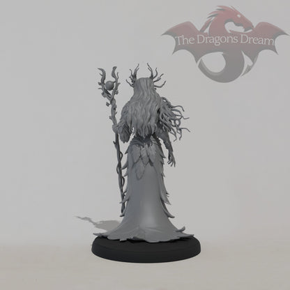 Aeryn - Female Druid