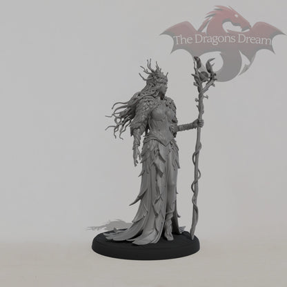 Aeryn - Female Druid