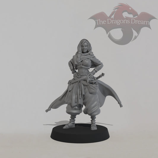 Leyla Zephyris - Rogue