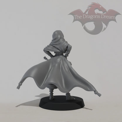 Leyla Zephyris - Rogue