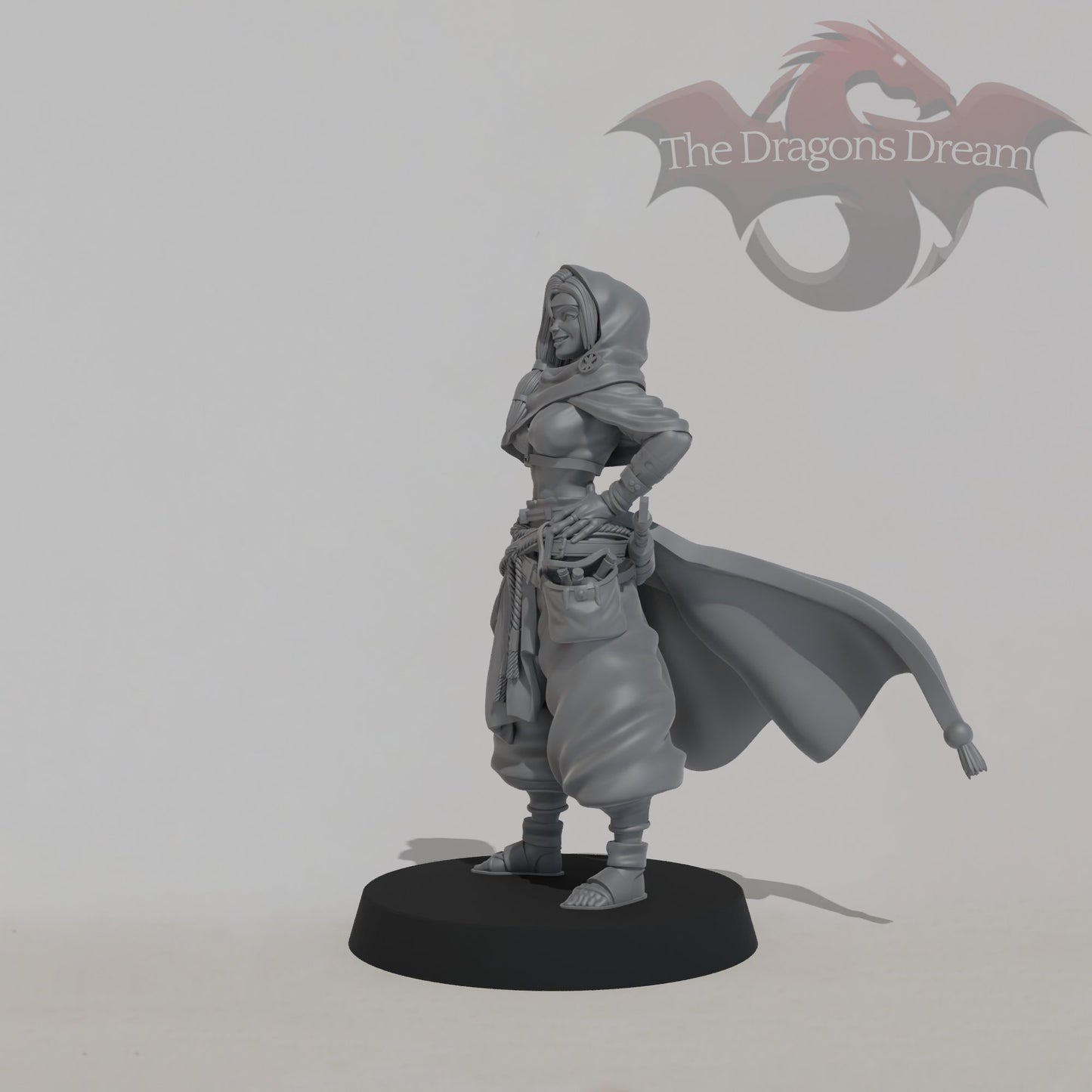 Leyla Zephyris - Rogue