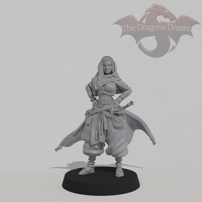 Leyla Zephyris - Rogue