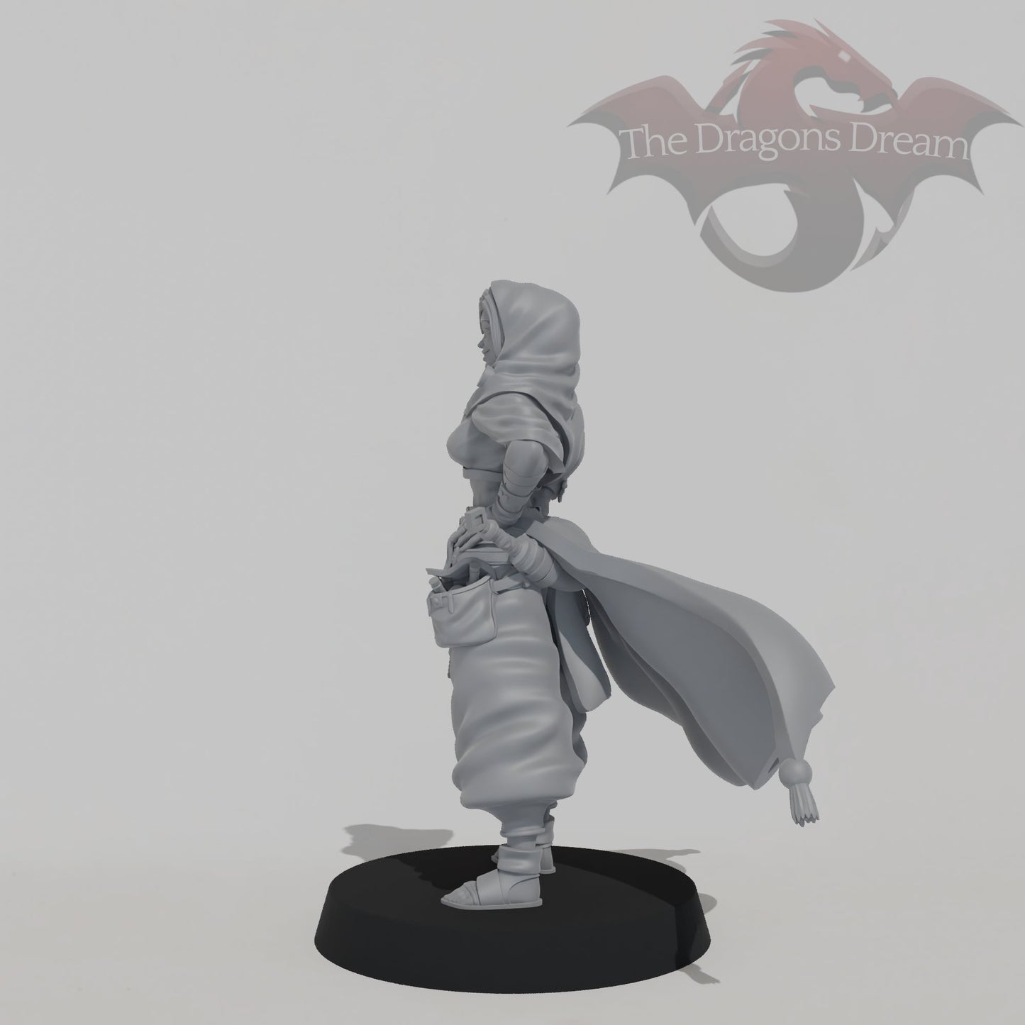 Leyla Zephyris - Rogue