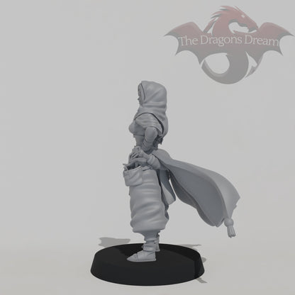 Leyla Zephyris - Rogue