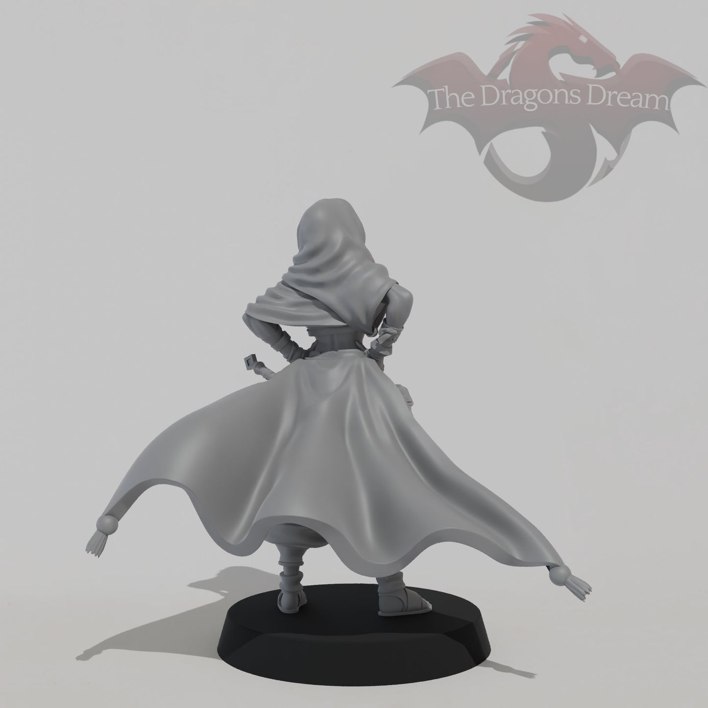 Leyla Zephyris - Rogue
